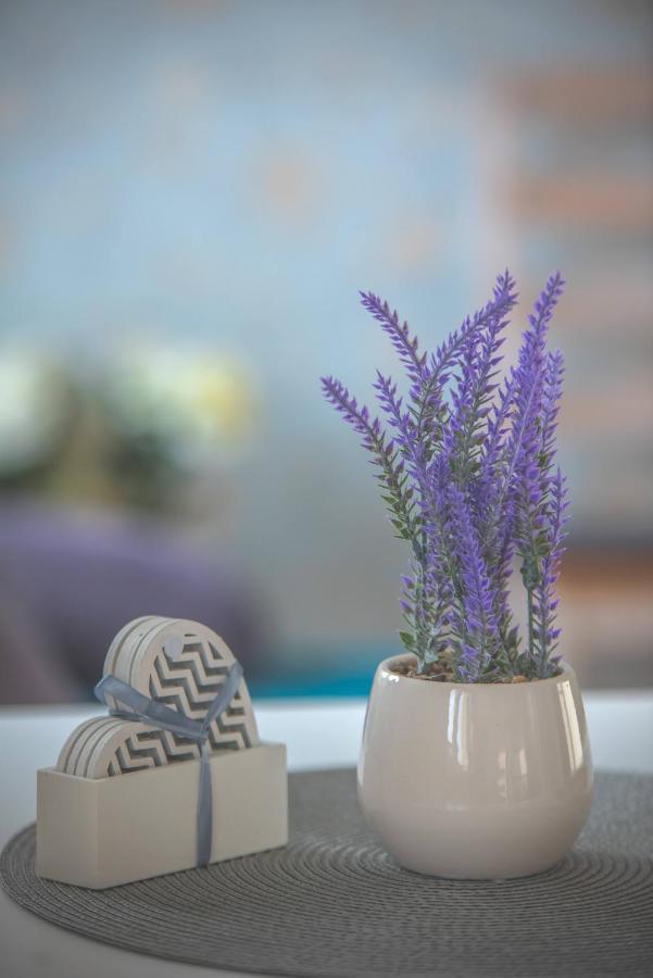 Roosi Apartment הפסלאו מראה חיצוני תמונה
